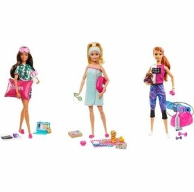 Barbie wellness panenka - Mattel