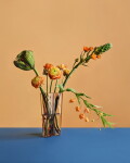 Iittala Skleněná váza Aalto 12 cm – Clear, čirá barva, sklo