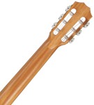 Taylor Academy 12e-N LTD
