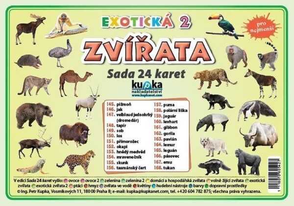Sada 24 karet - zvířata (exotická 2) - Petr Kupka
