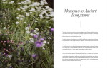 New Mags Kniha – Where Flowers Bloom, Anna-Maija Niittynen, multi barva, papír