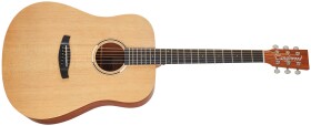 Tanglewood TR 5