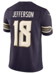 Nike Pánský dres Minnesota Vikings NFL Justin Jefferson #18 2026 Rivalries Stitched Limited Velikost: L