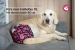 Hárací kalhotky pro psy Dusty – prodyšné, vložka zdarma Barva: Konfety, Obvod slabin (cm): 26 - 30