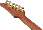 Ibanez AZ2204AG-TFB