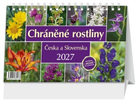 Kalendář 2027 stolní: CHRÁNĚNÉ ROSTLINY ČESKA A SLOVENSKA