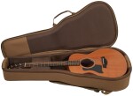Taylor GS Mini Mahogany LH