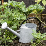 Ib Laursen Kovová zahradní konev Zinc 5 l, šedá barva, stříbrná barva, kov