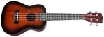 Tanglewood TWT 3 SB