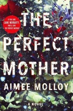 Perfect Mother - Aimee Molloy
