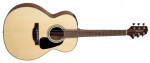 Takamine GLN12E - Natural Satin