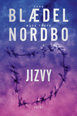 Jizvy - Sara Blaedelová