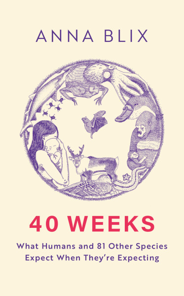 40 Weeks - Anna Blix
