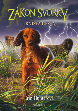 Zákon svorky 4: Tŕnistá cesta (e-kniha) - Erin Hunter