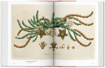Garden Eden. Masterpieces of Botanical Illustration. 40th Anniversary Edition Hans Walter Lack