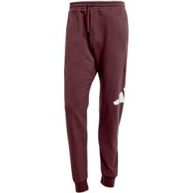 Kalhoty adidas Essentials Big Logo French Terry M JE8972 s