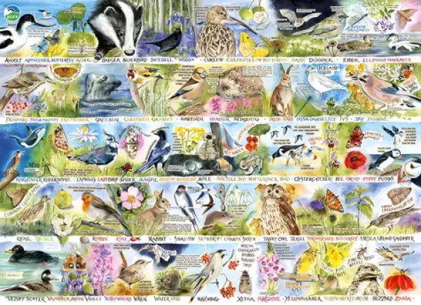 GIBSONS Puzzle RSPB: Kouzlo jarní přírody