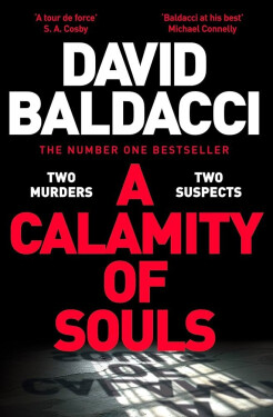 A Calamity of Souls - David Baldacci