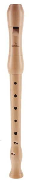 Mollenhauer Student 1042
