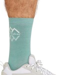 Pánské merino městské ponožky ICEBREAKER Mens Lifestyle Fine Gauge Crew IB Lo Re, Cloud Ray/Snow velikost: 45-49 (LXL)