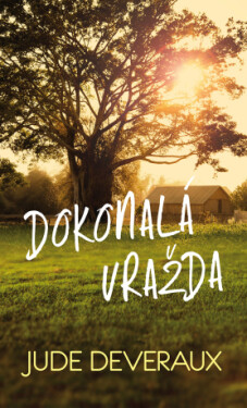 Dokonalá vražda - Jude Deveraux - e-kniha