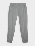 Pánské sportovní kalhoty 4F Velikost: 3XL
