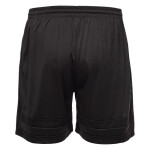 Pánské šortky ARTIGAS II SENIOR L