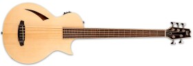 ESP LTD TL-5 NAT