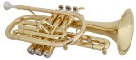 Getzen 800 Eterna