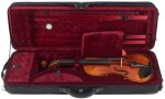 Vienna Violin Violine Pinus Vintage 4/4