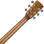 Cort Earth 100 NS
