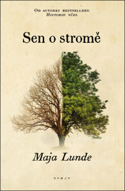 Sen stromě