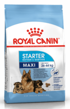 Royal canin Kom. Maxi Starter 15kg