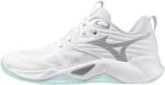Mizuno Wave Momentum Pro V1GC254045