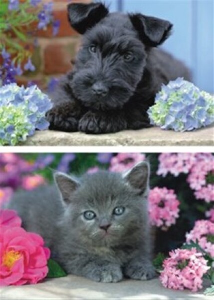 Puzzle Pejsek s kočičkou na terase 2x48 dílků