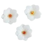 Dekorace oplatková - Hortenzie bílá 3 ks