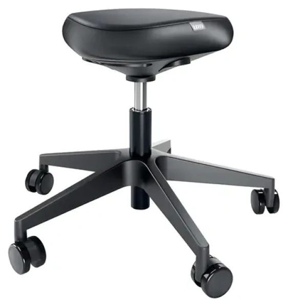Leitz Ergo černá / Ergonomická stolička / kolečka 360° / nosnost 110 kg / výška 47-60 cm (65780095)