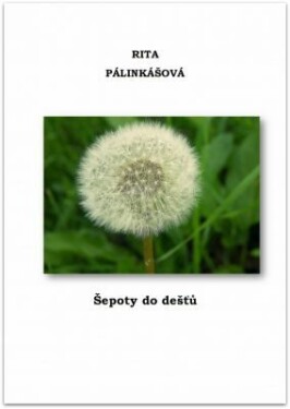 Šepoty do dešťů - Rita Pálinkášová - e-kniha