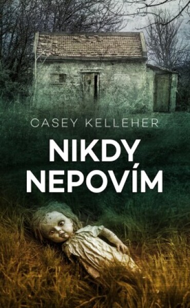 Nikdy nepovím - Casey Kelleher - e-kniha