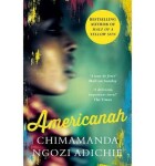 Americanah, vydání Adichie Chimamanda Ngozi