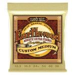 Ernie Ball 2005 Earthwood Custom Medium 80/20 Bronze