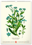 Nástěnný kalendář 2026 NOTIQUE - Vintage plakáty – herbář, 33 x 46 cm