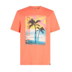 O'Neill Jack Neon T-Shirt 92800613602