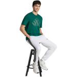 Tričko adidas Tech Outline Graphic M JJ1609 pánské m