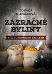 Zázračné byliny aneb k dlouhověkosti bez léků - Zdeňka Nováčková