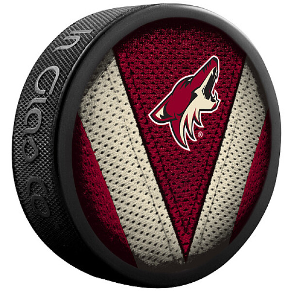 Inglasco / Sherwood Puk Arizona Coyotes Stitch Stitch