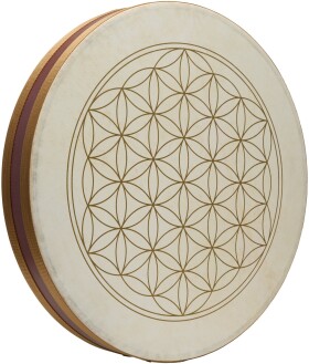 Meinl Sonic Energy WD18FOL