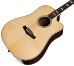 Tanglewood TW1000 H SRCE (rozbalené)