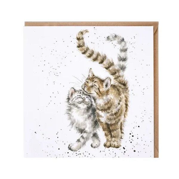 Přání Wrendale Designs Feline Good, 15x15 cm - Kočky