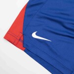 Nike Pánské kraťasy Chicago Cubs MLB Home Plate Performance Shorts Velikost: S